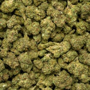 Bubble Gum