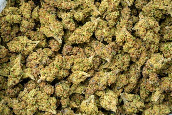 Ghost Vapor OG