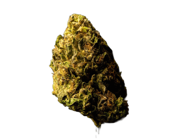 Blue Cherry Gelato