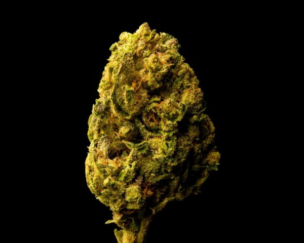 Gelato #33 - Image 2