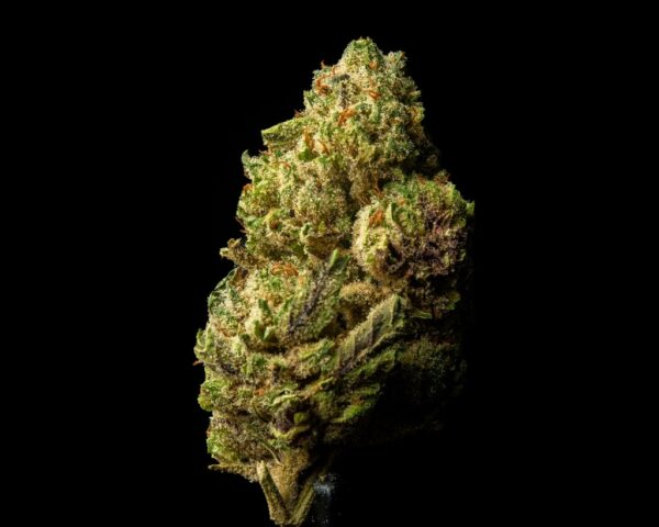 Jokerz Candy - Image 2