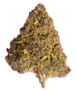 Boss Frost