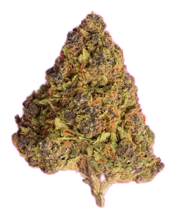 Boss Frost