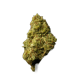 Bubble Gum (THCA)