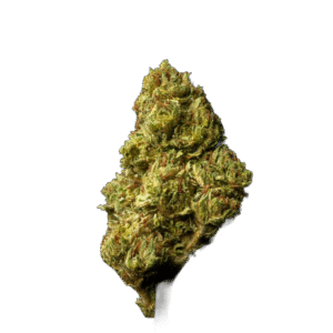 Bubble Gum