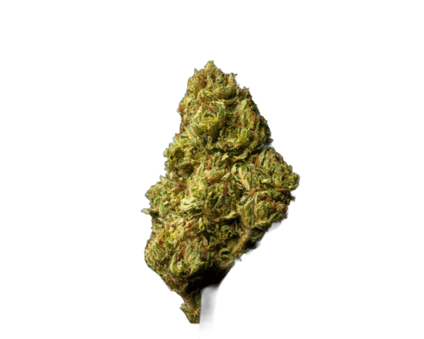 Bubble Gum