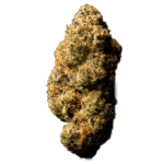 Gelato Float Indoor