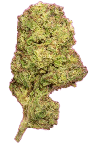 Jolly green Giant